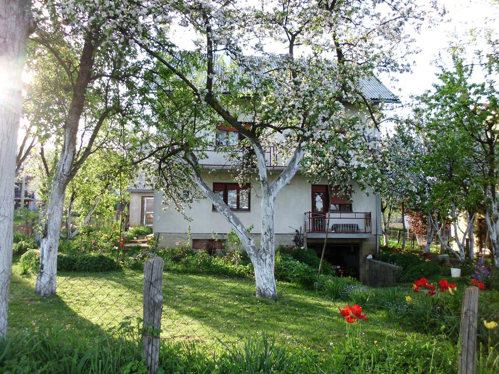 Guest House Krga โคเรนนิซา ภายนอก รูปภาพ